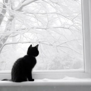 vinki - steam id 76561199403538436