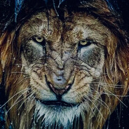 HASO - steam id 76561198839580835