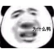 因为老子是一只猫