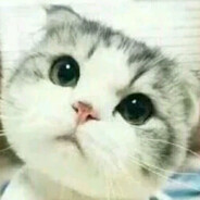 Sigma男人拉个大电