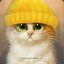 KattyRavsh