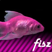 Fisz RΛZΞRsite.eu.org