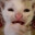 Pither