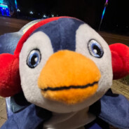 JUST.ARCHO - steam id 76561199587718616