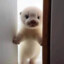 KannTheOtter