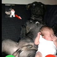 СОБАЧКА БИГ ПИСЮН