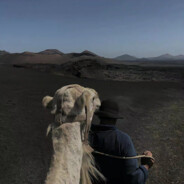 心态超好 绝不摆烂