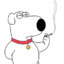 Brian Griffin