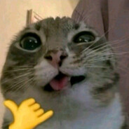 Catto
