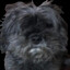Tekki