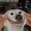 XQA_YT