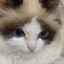 Timonchik_
