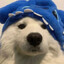 Molfy