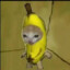 banana cat