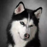 你是本科吗牢弟