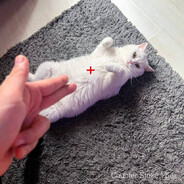 ИHTИMHblЙ HAПИЛbHИK