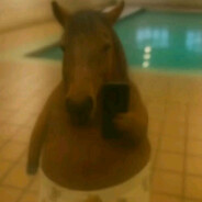 конь  ̶б̶л̶я̶т̶ь̶