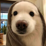 Evo. - steam id 76561199188162000