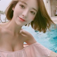 中华田园犬18号