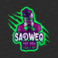 SadweQ V2