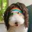 Perro Mogolico