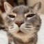 MEOWMAN1320