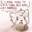 Hidden King's Discord Kitten