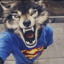 eby xoxlov