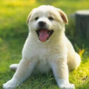 报的打残还有多少血