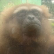 Ӂ 波達 Ӂ - steam id 76561197971002822