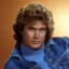 The Hoff