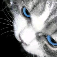 意念集中！弹碎护甲！