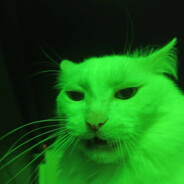 greennn Steam avatar