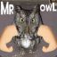 Blind Mr. Owl