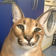 Аденома простаты