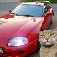 ↯↯TOKYO DRIFT↯↯ - steam id 76561198844818282