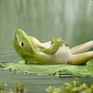 ChillToad