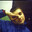 noiq