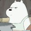 Ice Bear