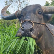 6777777777777777777777777777