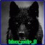 Blue_Wolf_8