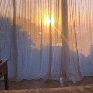 喝什么冰山杨梅桃