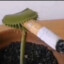 BlixerCZ