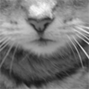 Traumatica - steam id 76561197965845561