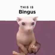 bingus