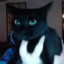 kitty