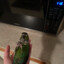 microwaved my bird