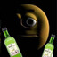𝓡𝓔𝓝𝓖𝓞