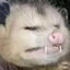 Milli The Opossum