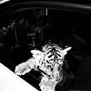 purp - steam id 76561199083394860